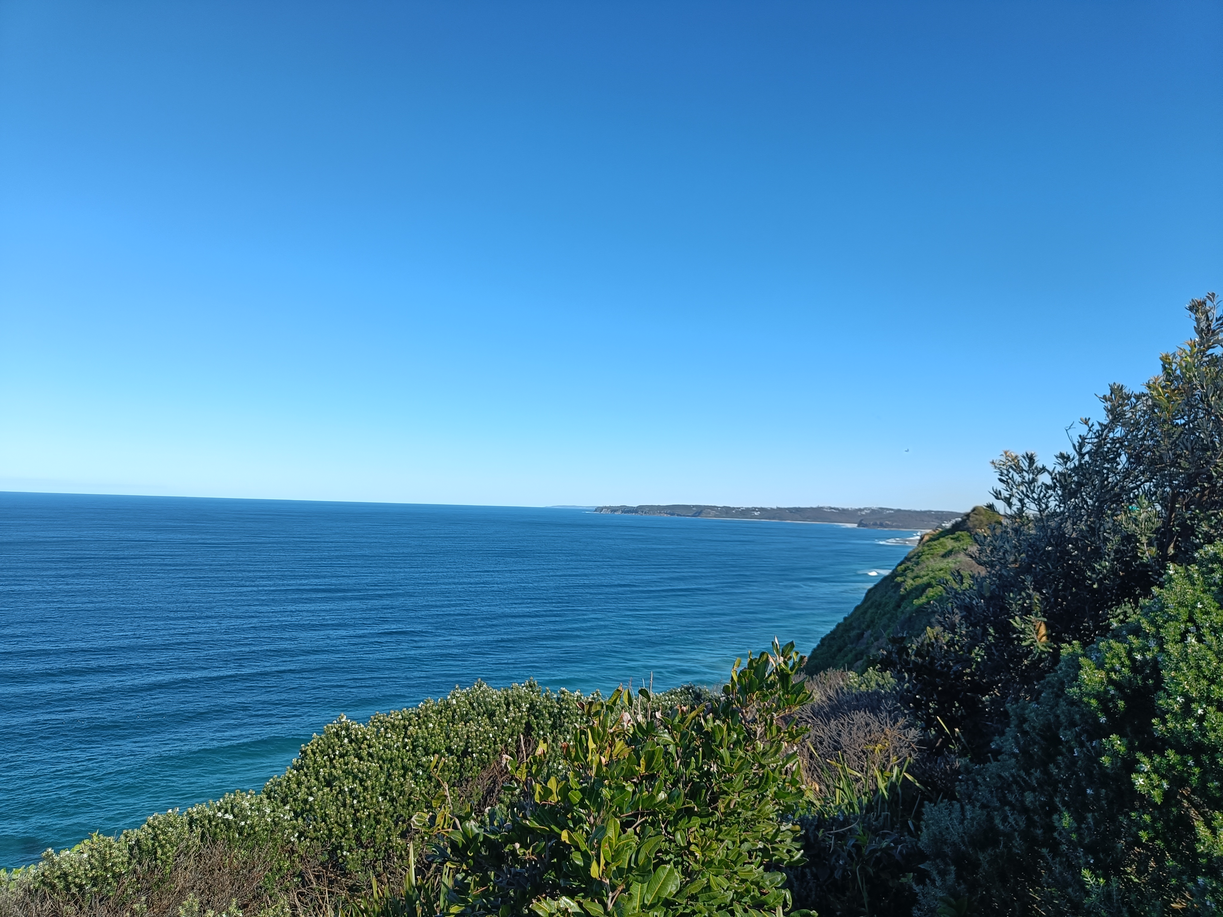 Looking west from Strzelecki Lookout